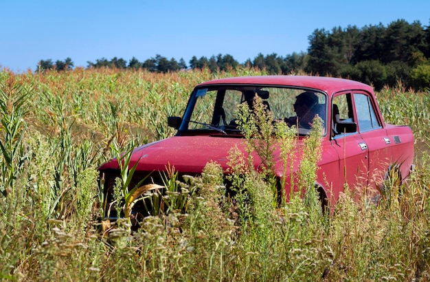 Old Soviet car drives offroad in a field