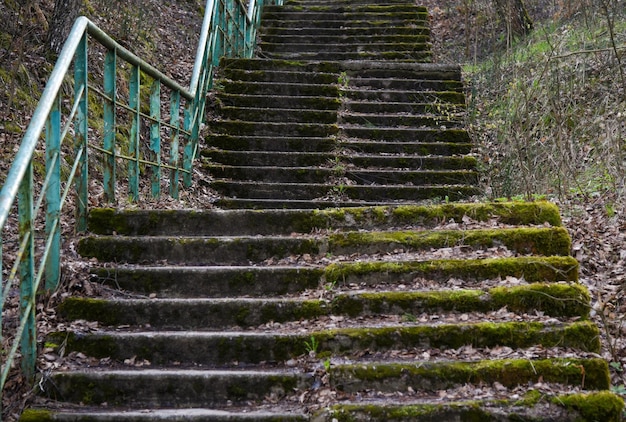 Old staircase covered with moss in the park