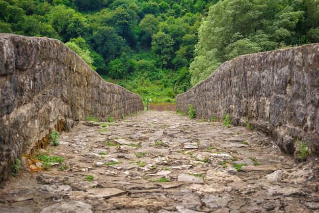 Old stone bridge Stari most over Crnojevica river in Montenegro