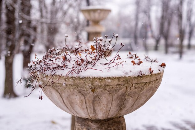 Old stone flowerpot plant landscaping covered in winter snow flower pot covered with snow snowy garden in winter