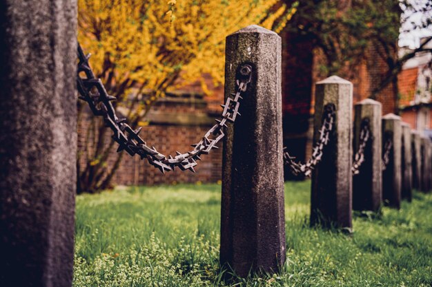 Old stone posts with chains on a background of green grass