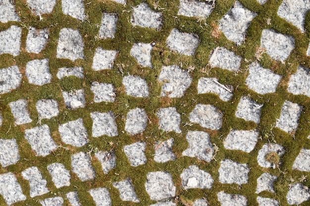 Old Stone Road with Moss