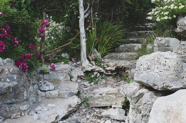 Old stone steps and flowers