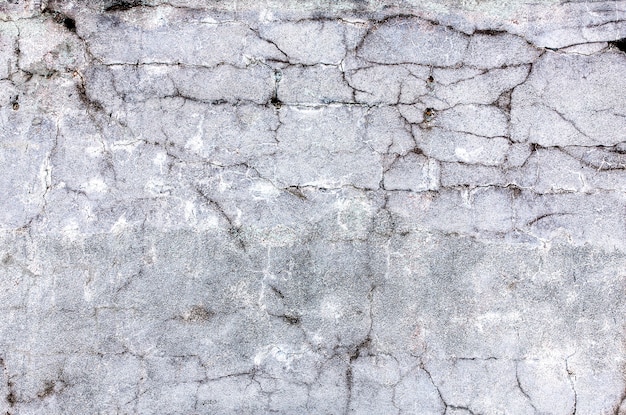 Old surface of cement background