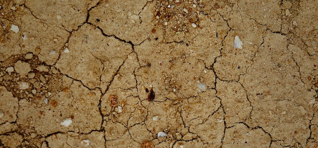 old textured stone surface