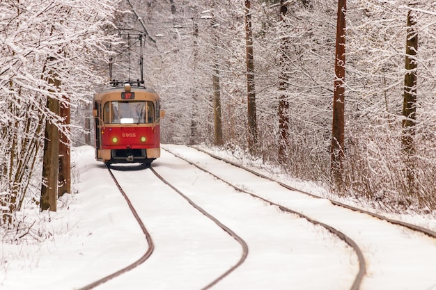 An old tram moving through a winter forest