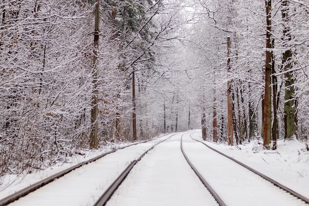 An old tram moving through a winter forest