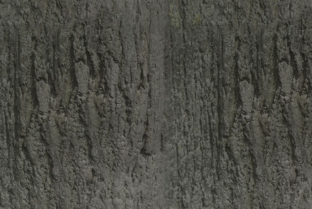 Old tree bark texture background