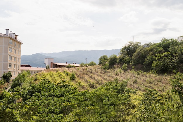 Old vineyard landscape in Crimea