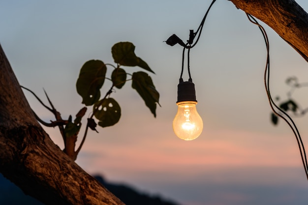 Old vintage light bulb