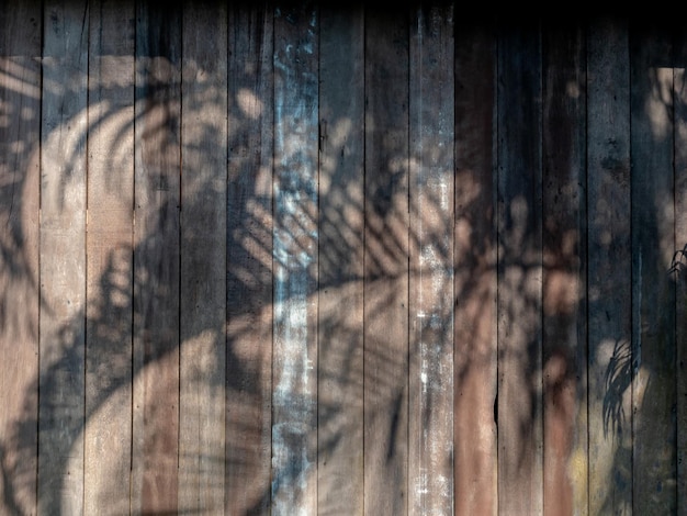 Old vintage wooden plank wall background with summer natural tree shadow Rustic wood panel wall shaded by tropical palm leaves Palm leaves shadows on a grunge wooden surface