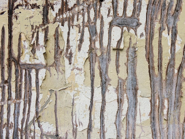 Old Wall Background Texture