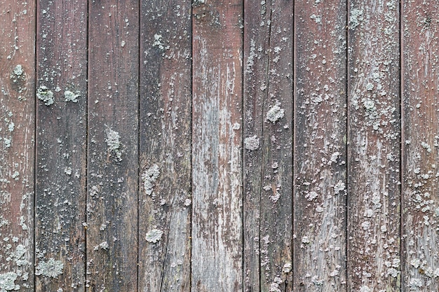 Old weathered wooden planks  texture with white mold