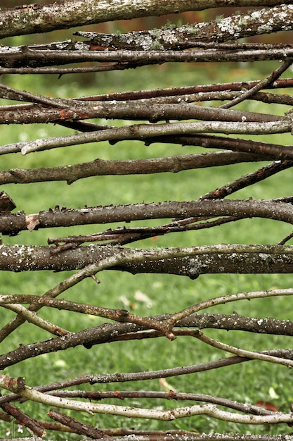 Old wicker fence covered mosh woven wooden branches on green blurred background Natural pattern from