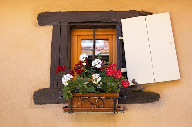 Old window closeup in alsace village