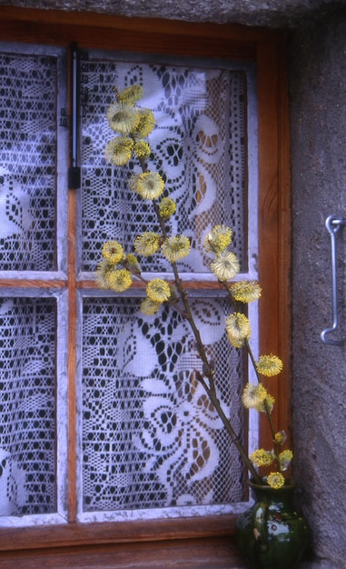 Old window with a glass of water