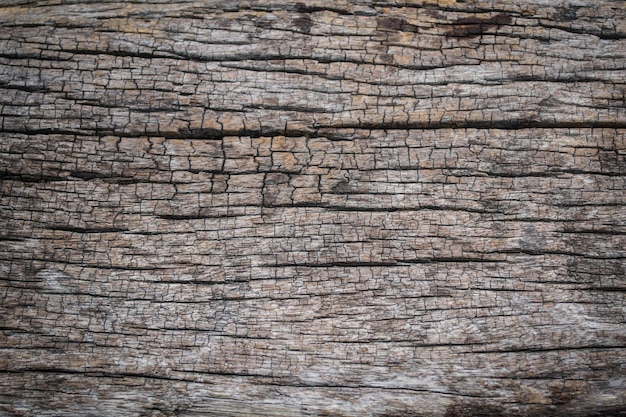 Old wood background