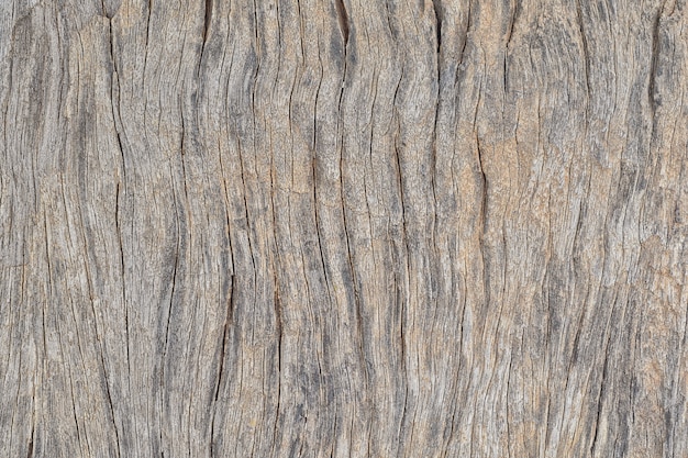 Old Wood Plank Surface Texture timber board vintage panel decorative background