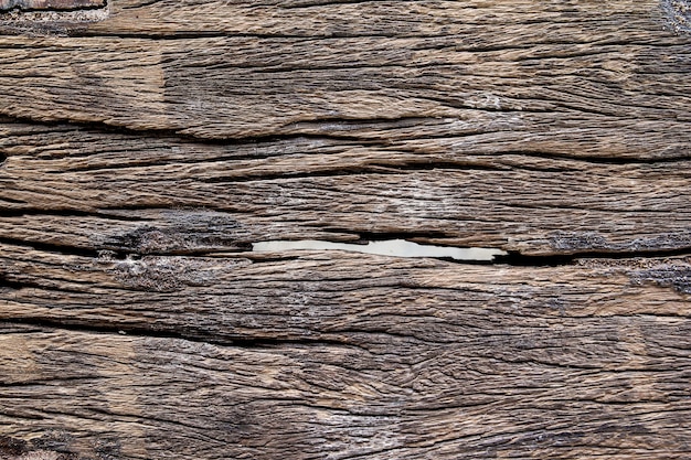 Old wood surface eroded by time, Old wood texture background.