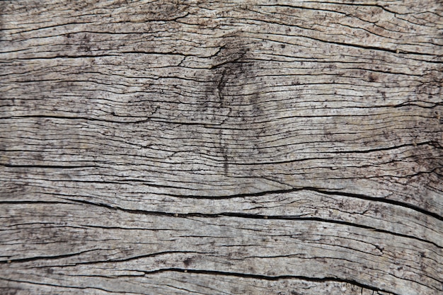 Old wood surface weathering