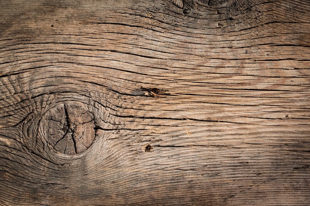 Old wood texture. Abstract background