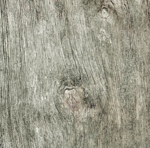 Old wood texture Abstract background