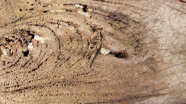 old wood texture background surface with old natural pattern