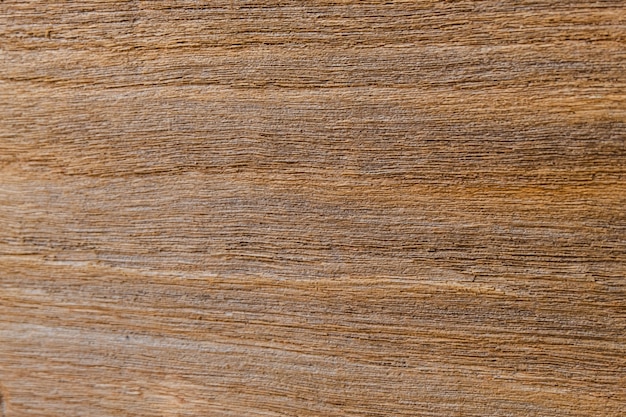 Old wood texture, Rough surface, natural pattern