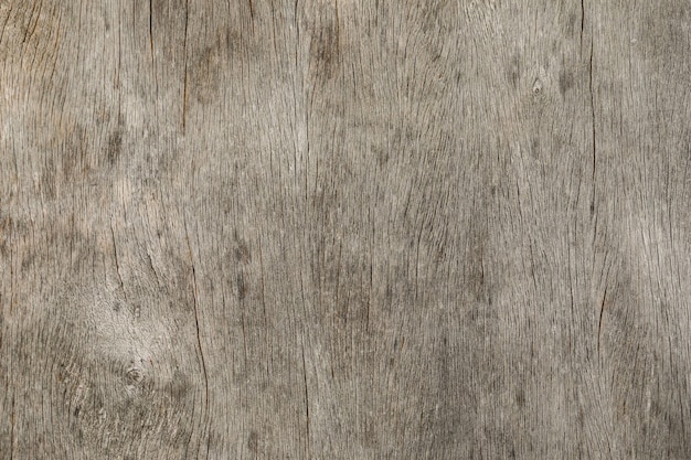 Old wood texture