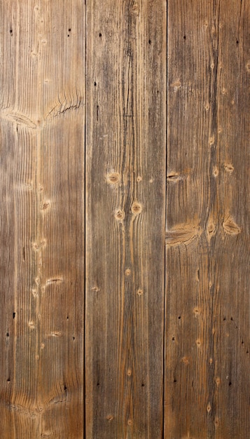 Old wood texture