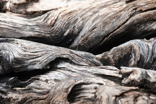 Old wood timber background