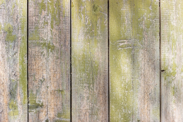 Old wooden background with shabby green paint