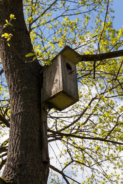 An old wooden birdhouse