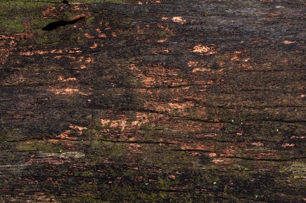 Old wooden board background