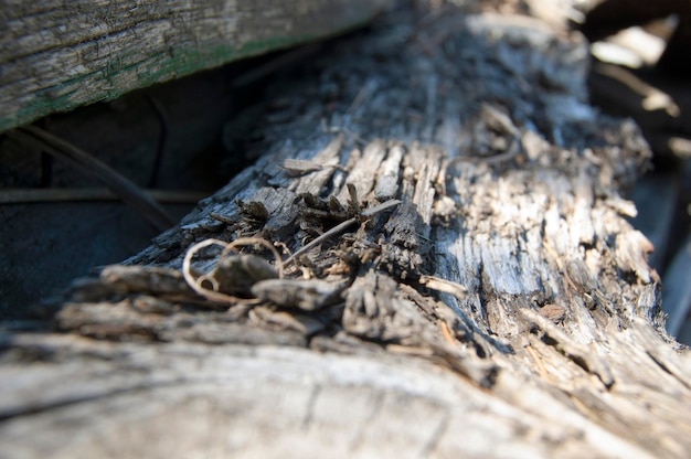 Old Wooden Boards