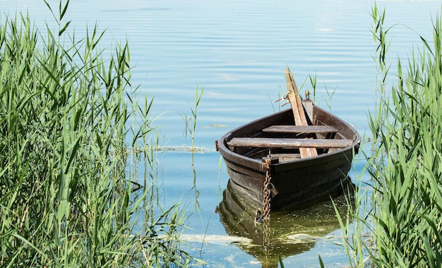 An old wooden boat with oars stands in a small bay on the lake