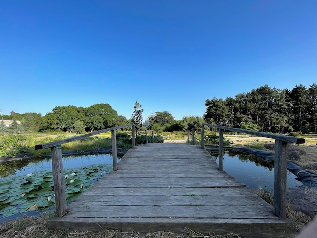 Old wooden bridge over a small pond in the park