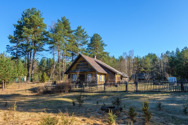 Old wooden country house in the Russian outback village at dawn in the pine forest Ecological tourism and recreation