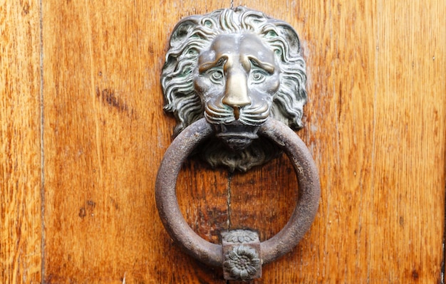 Old wooden door decorated with a lion head as knocker