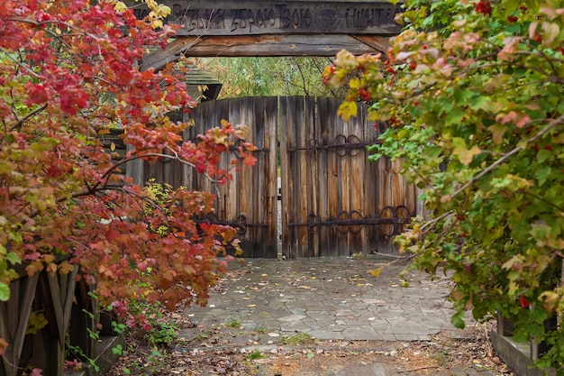 Old wooden doors with wrought iron hinges and locks Forged metal hinges on the wood doors