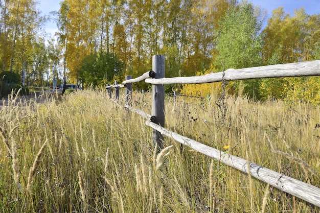 An old wooden fence in a thicket of grass Ulyanovsk Russia