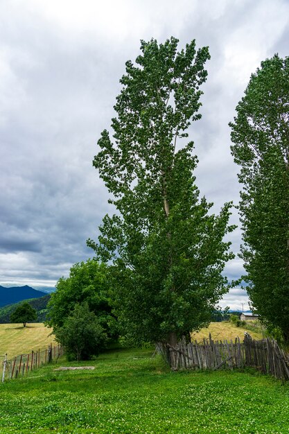 Old wooden fence in village, Artvin province  - Turkey