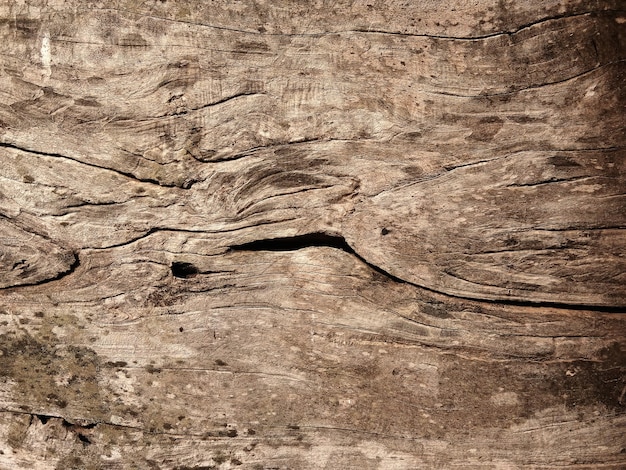 Old wooden floor for graphic design or wallpapers