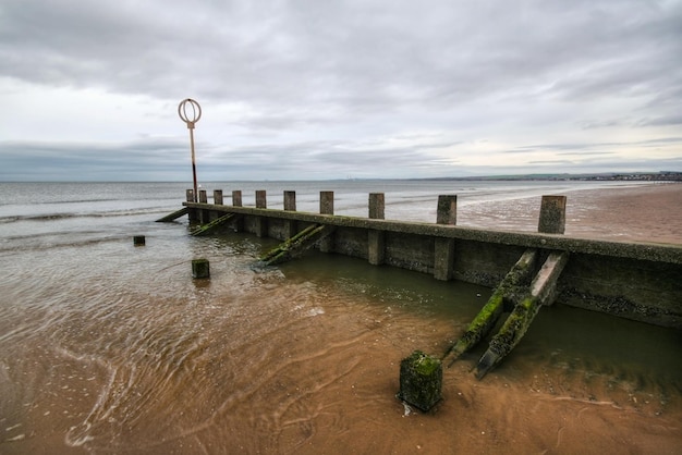 Photo old wooden groyne structure covered with green algae on portobello beach during low tide with north sea in the backgroud shot on overcast day. edinburgh, scotland.