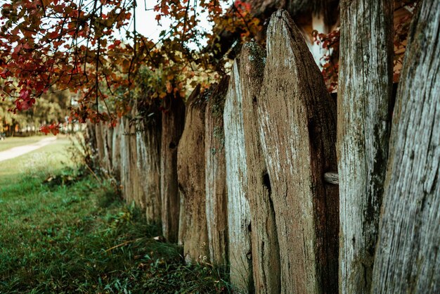 Old wooden historic fence encloses the village house 1