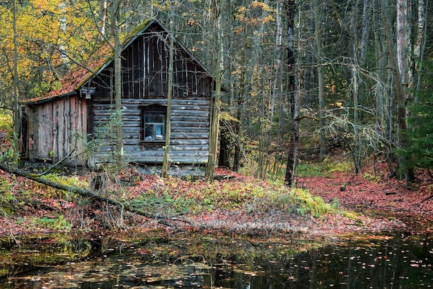 Old wooden house in a colorful autumn forest near the lake