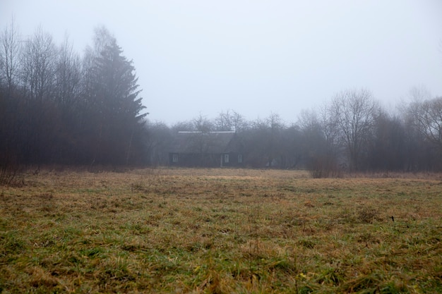 Old wooden house in the forest in the autumn season