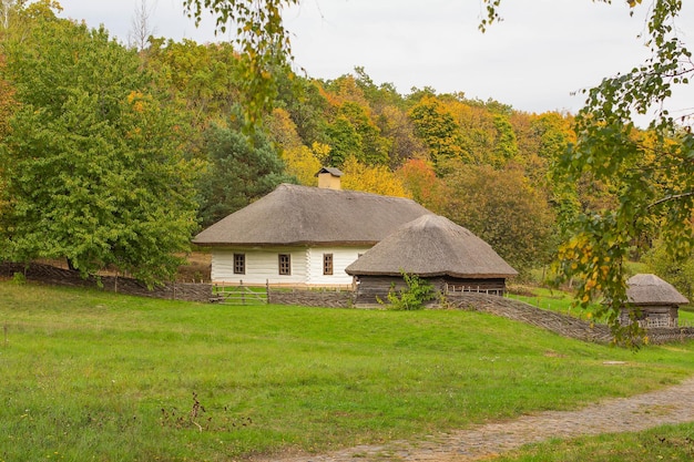 Old wooden houses near the autumn forest