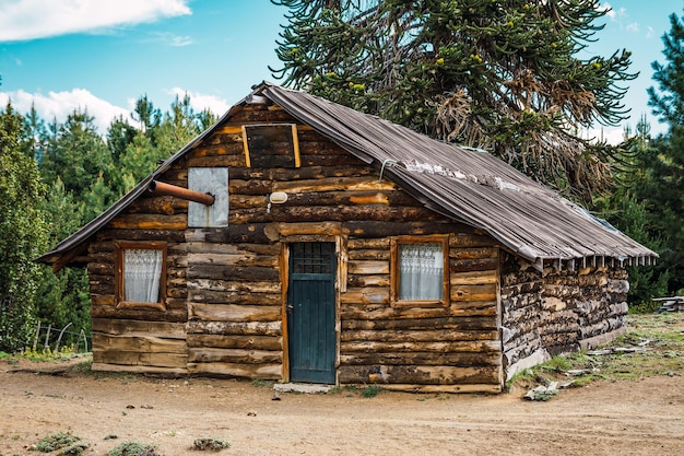 Old wooden hut of native people next to Auracauria (Pehuen),