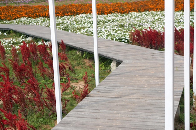 Old wooden walkway for looking at the flower garden